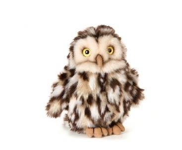 Living Nature Little Owl